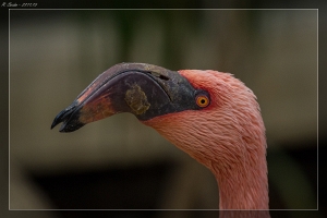 Zoo Karlsruhe